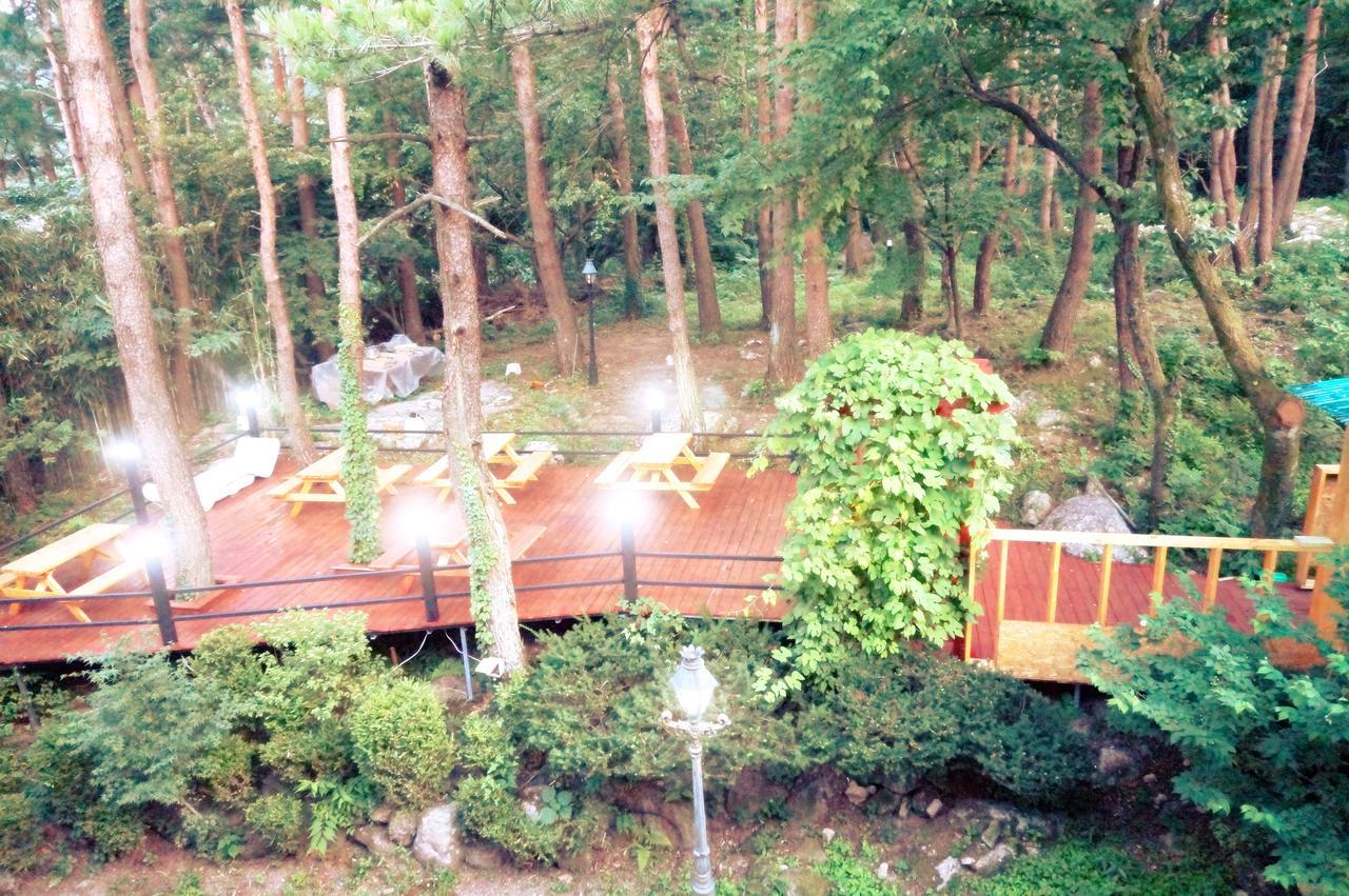 White House Sokcho Exterior foto