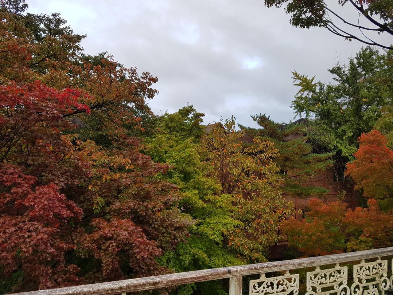 White House Sokcho Exterior foto